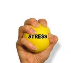Стрессоустойчивость и методы ее улучшения